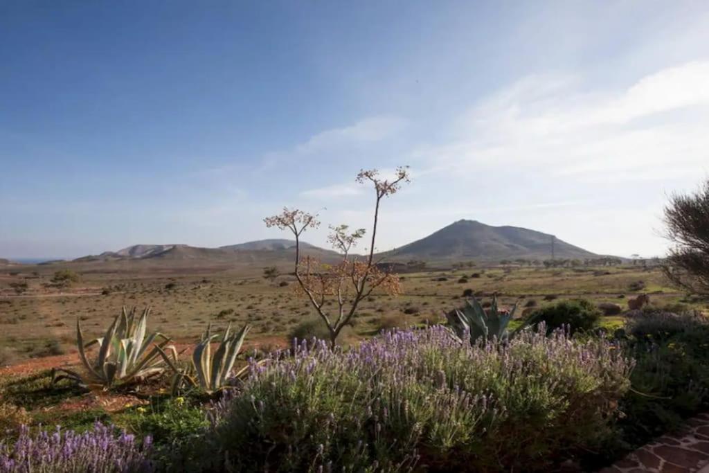 El Risco Colorado, Cabo De Gata Villa Rodalquilar Exterior photo
